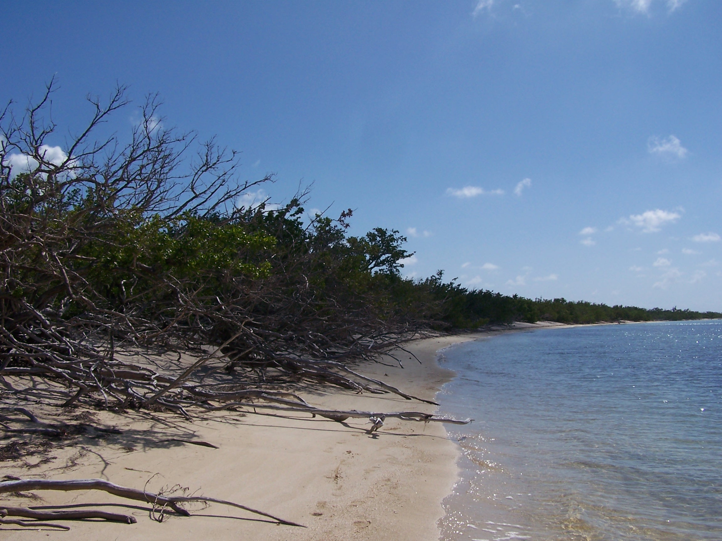 Introducción al Corredor Biológico en el Caribe