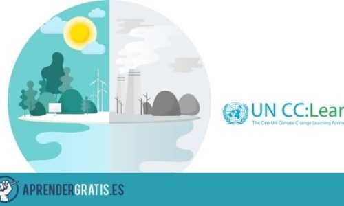 miniatura del curso
